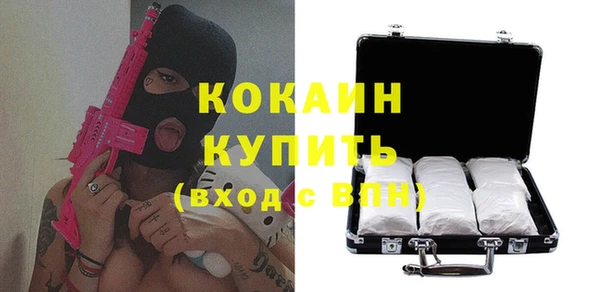 индика Баксан
