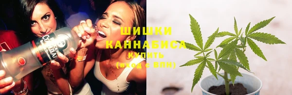 индика Баксан