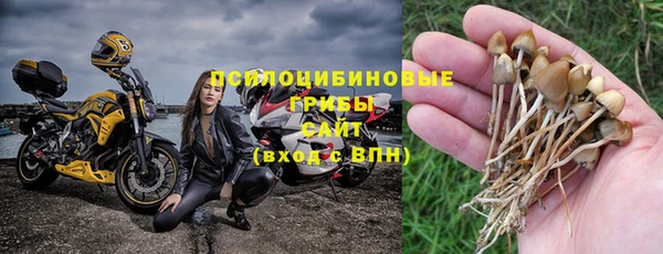 амф Балахна