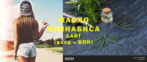 индика Баксан