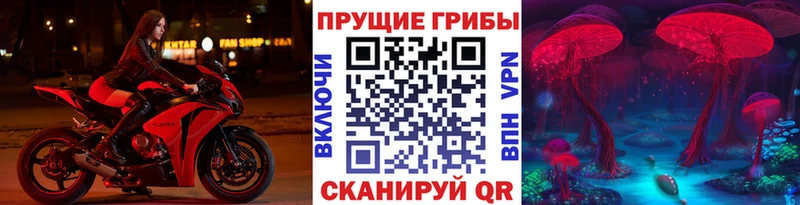 хочу наркоту  Строитель  Галлюциногенные грибы MAGIC MUSHROOMS 