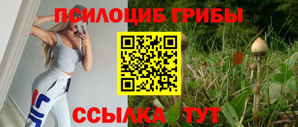 Псилоцибиновые грибы Cubensis  Псилоцибиновые грибы Psilocybine cubensis  Вход с VPN  Строитель 