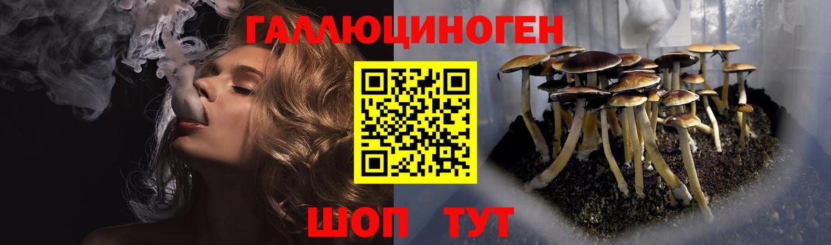 Псилоцибиновые грибы прущие грибы Строитель